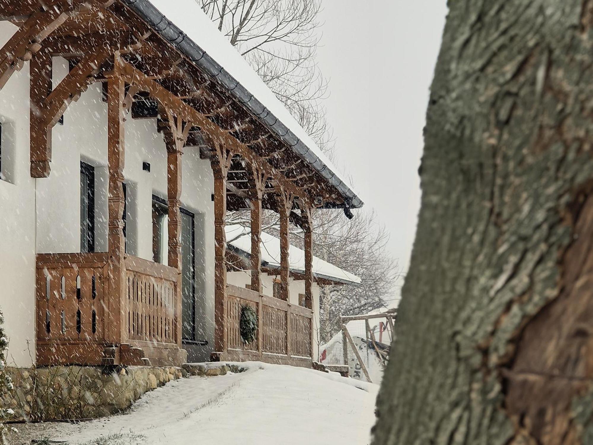Villa Plai Din Bran Bran  Exterior foto